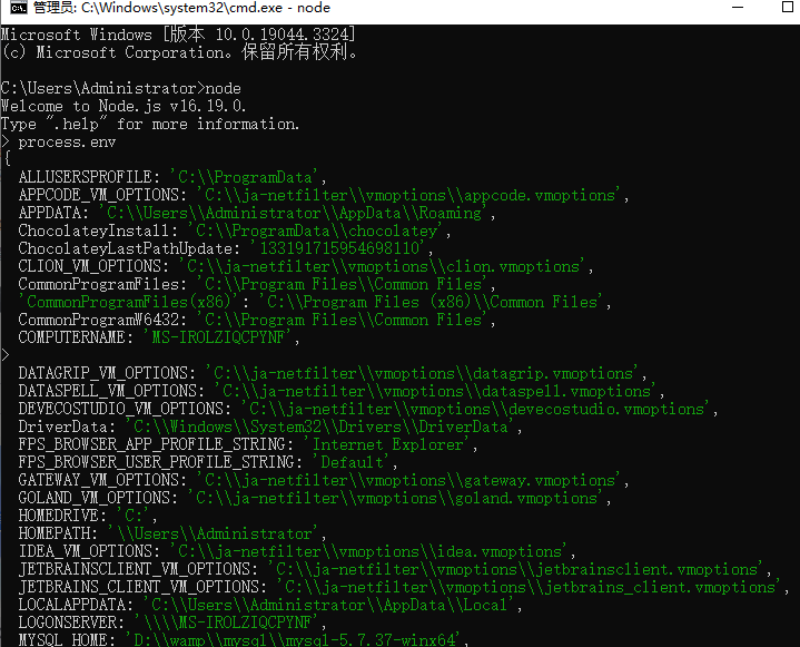 vue中的process.env.NODE_ENV和环境变量